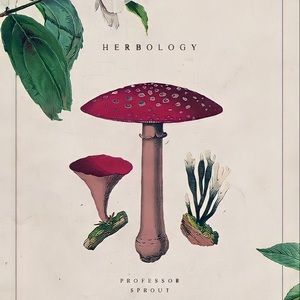 Meet your Posher, Ianthy